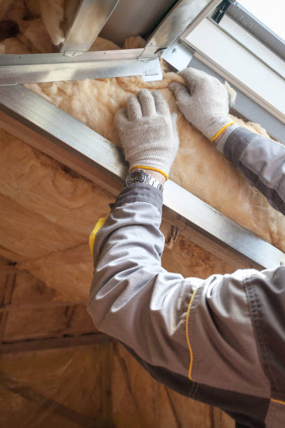 Best Insulation Contractors for Homes  in Fenton, MI