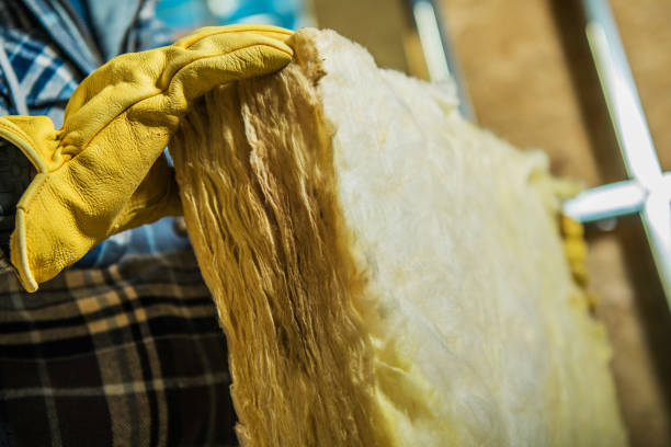 Best Spray Foam Insulation  in Fenton, MI