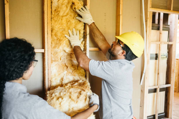 Best Local Insulation Services  in Fenton, MI