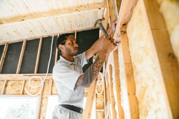 Best Insulation for New Construction  in Fenton, MI