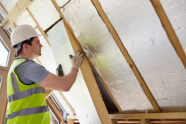 Best Insulation Removal  in Fenton, MI