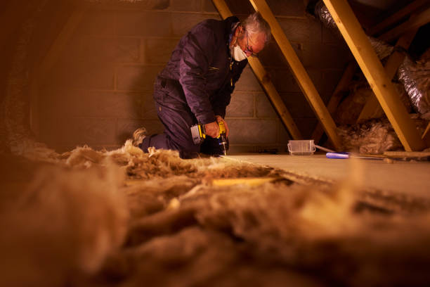 Best Blown-in Insulation  in Fenton, MI