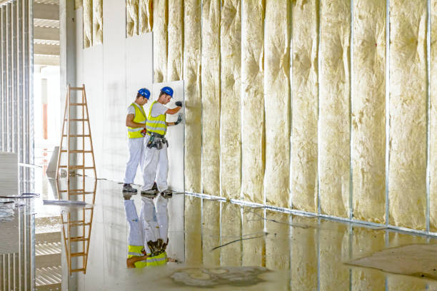 Best Spray Foam Insulation  in Fenton, MI